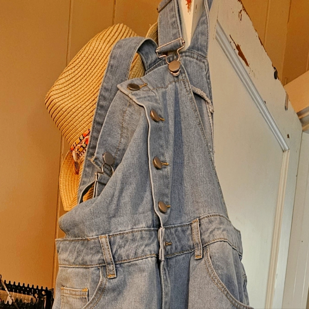 Denim overhauls